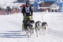 Lenk 2013